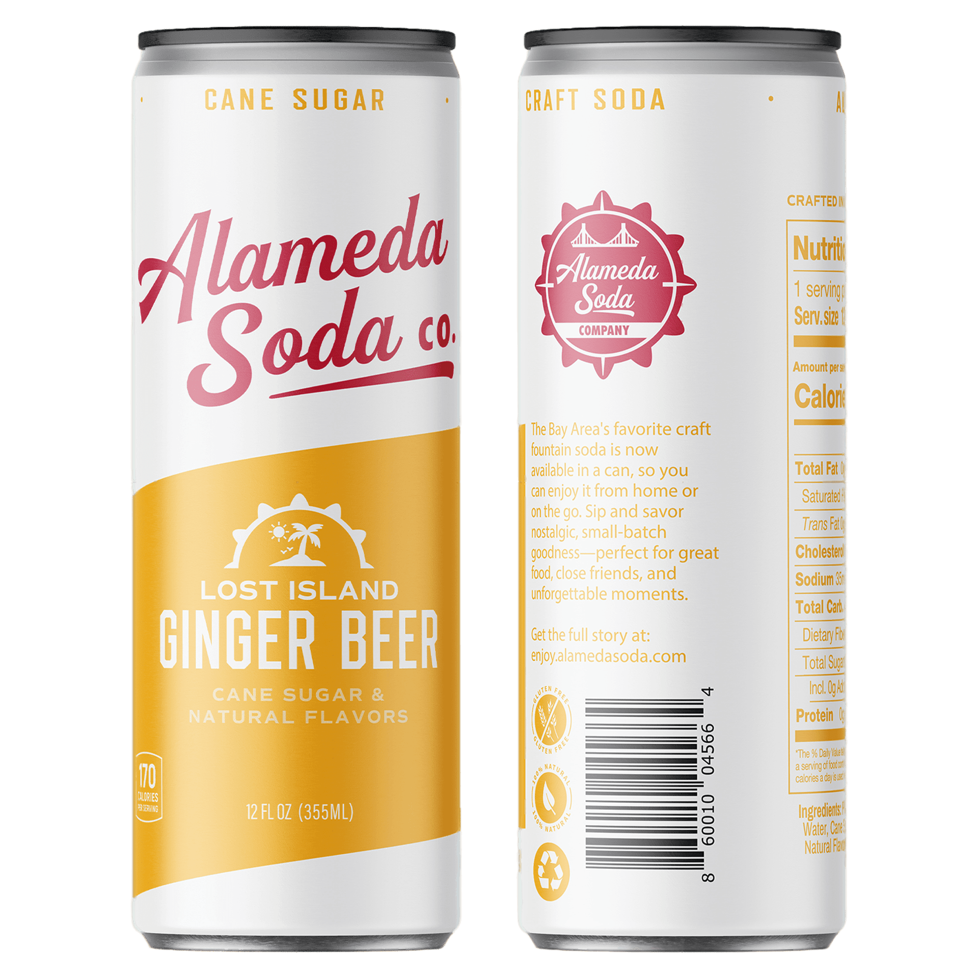 Lost Island Ginger Beer Cans – Alameda Soda Co Lost Island Ginger Beer Cans – Alameda Soda Co
